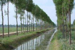 高尺度农田扶植八要