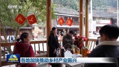 <b>各地加速鞭策村落财产复兴</b>