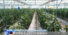 新品种新手艺齐上阵 多地一片好“丰”景
