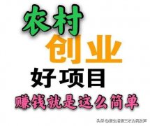 <b>村镇做什么项目最赔本</b>